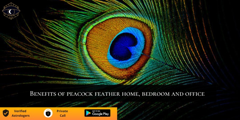 https://www.monkvyasa.com/public/assets/monk-vyasa/img/Benefits of peacock feather home, bedroom and office.jpg